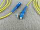optical fiber assembly